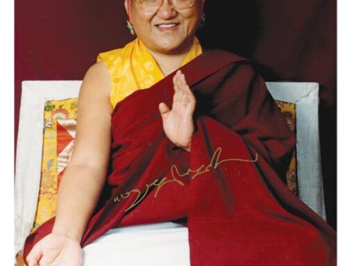 Biography of His Holiness the 41st Sakya Trizin